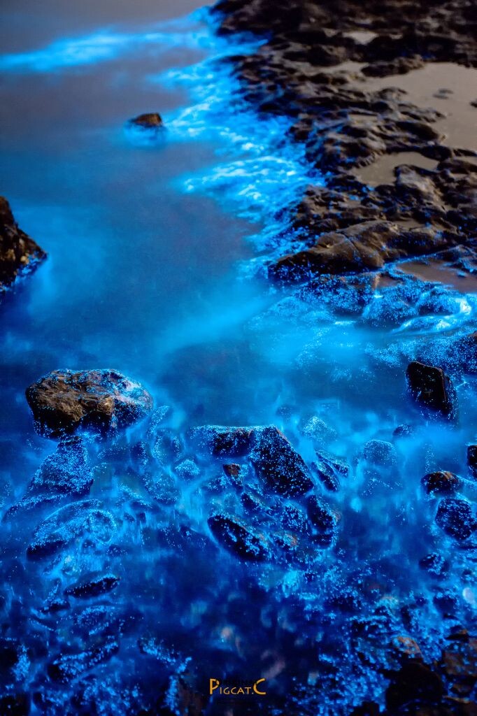 大黑石荧光海滩图片