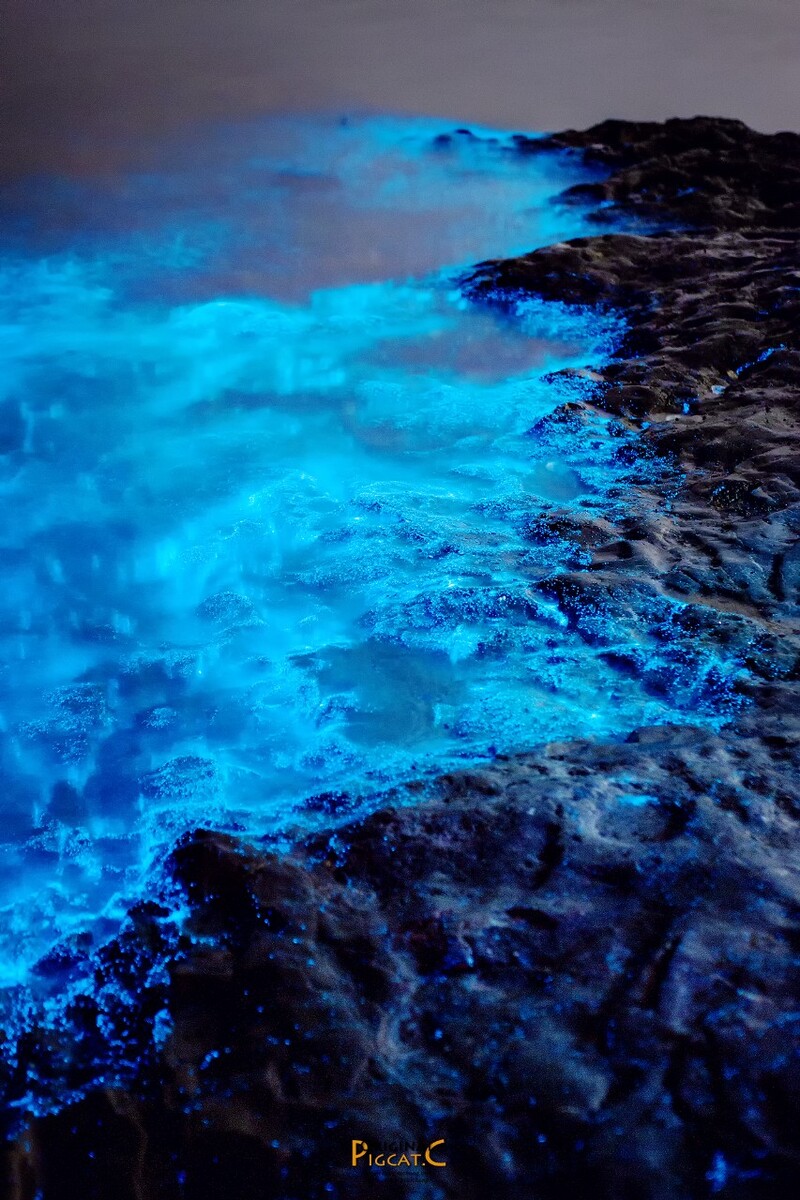 大黑石荧光海滩图片